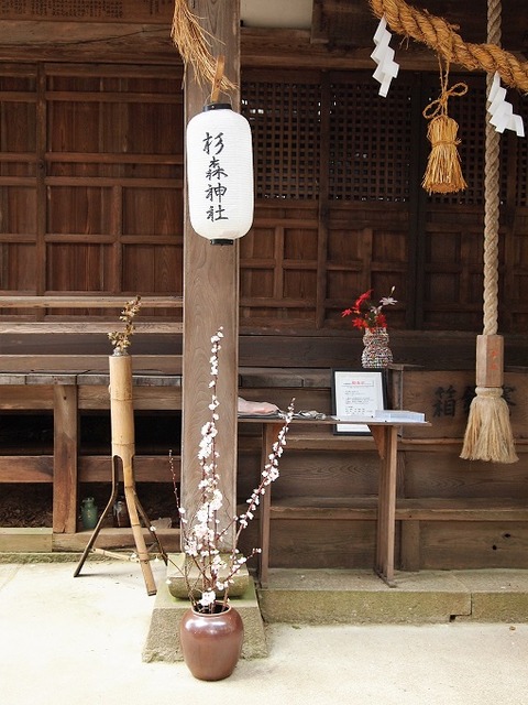 P1016254