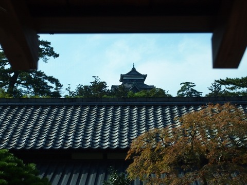 PB129587 (640x480)