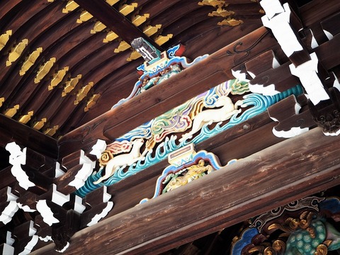P6030191