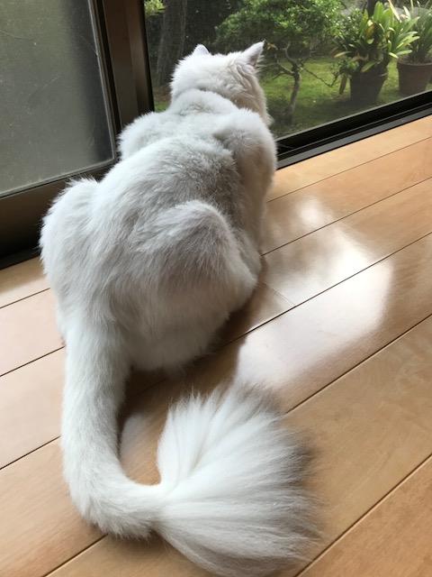 くう