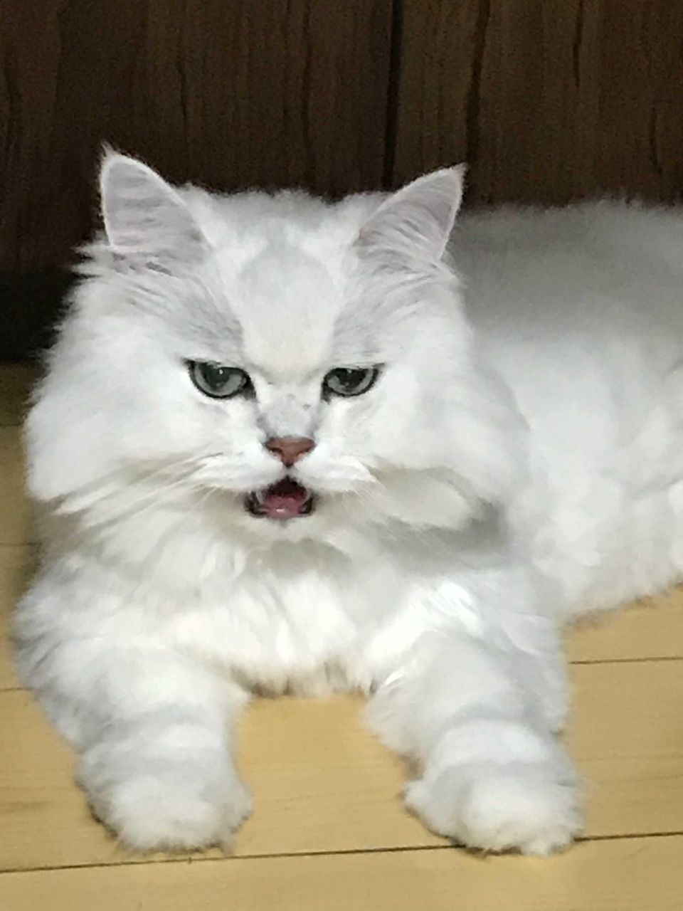 くぅ