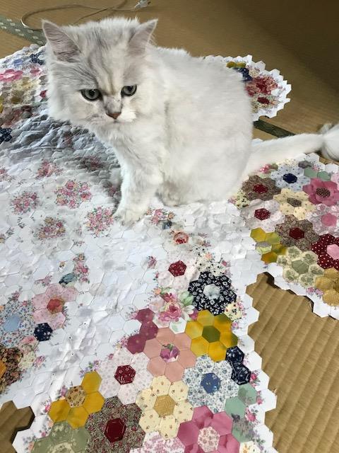 くう