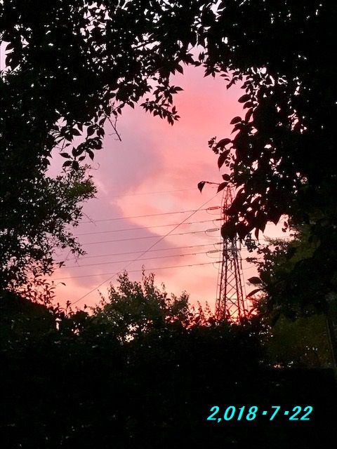 夕暮れ