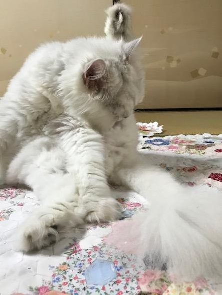 くう6