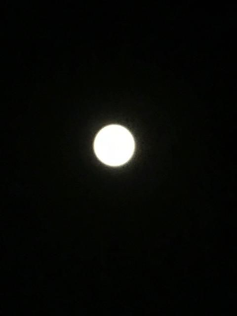޽ŽÄŽÛŽÍŽÞިްŽÑްŽÝ