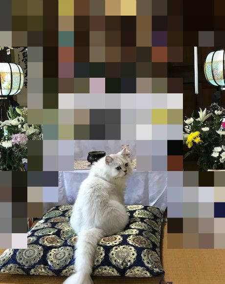 BlogPaint