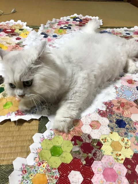 くう2