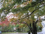 2013年11月箱根仙石原温泉 062
