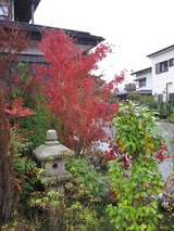 2013年11月箱根仙石原温泉 067
