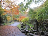 2013年11月箱根仙石原温泉 059