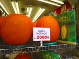 P1000182