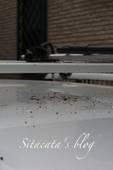 IMG_0551
