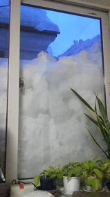 050e06d4.jpg