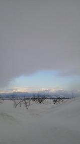 0d8dd7e5.jpg