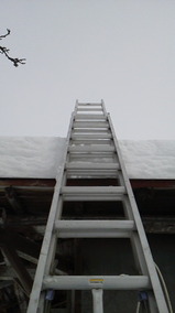 2811b606.jpg