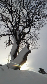 636f0e96.jpg