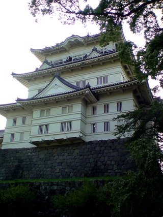 小田原城天守閣と梅の木
