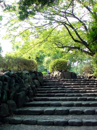 小田原城銅門から本丸広場への道
