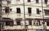 �ž������̤��ƿ�̱ϩ�褤�˷��ĥ��ѡ���