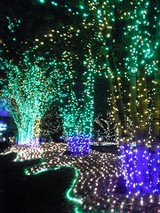 ���ɥ�����ƥ饹�Υ���ߥ͡������