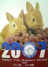 YBRC 7th Rabbit Show �ݥ�����