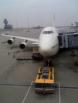 JAL732 at Gate 40
