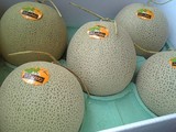 富良野メロン