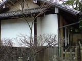 乃木希典生家の庭先にある梅