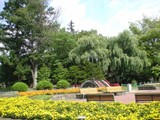 常盤公園
