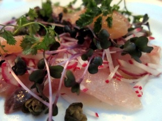 carpaccio@bills