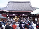三社祭の御神輿