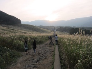 秋の箱根仙石原