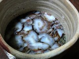 赤ナマコと黒ナマコ