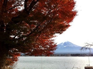 河口湖 紅葉
