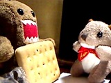 J「まぎれもなく乾パンですね」