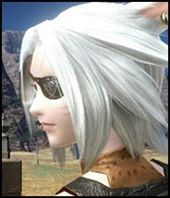FFXIV_1294488350a