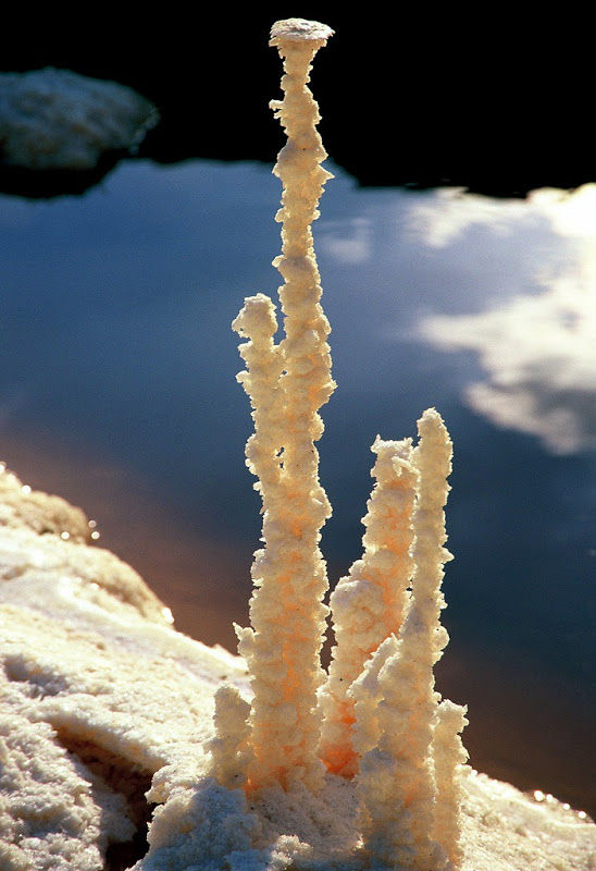 dead-sea-salt-crystals-18 [3]