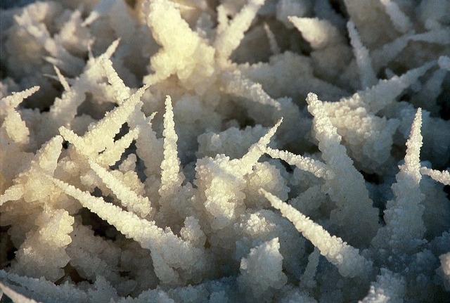 dead-sea-salt-crystals-13 [2]