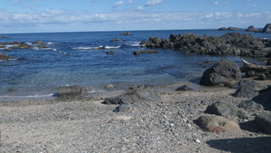 IMGP0661