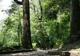 hakone1