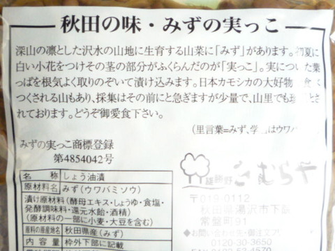 BlogPaint