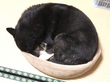 DSCF0518