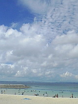 89721d7d.jpg