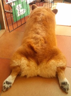 mi