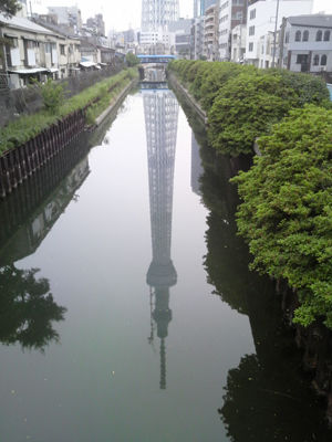 P1000167