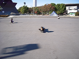 2008_1130_135727-DSCN0562
