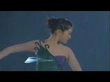 ¼�����Dream on Ice 2007