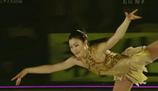 �����ƻҡ�Dreams on Ice 2008
