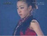 ¼��ϻޡ�Dream on Ice2007