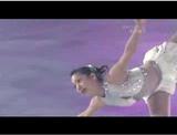 ����������Dream on Ice2007